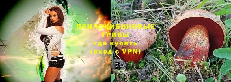 как найти закладки  Анапа  Псилоцибиновые грибы Magic Shrooms 